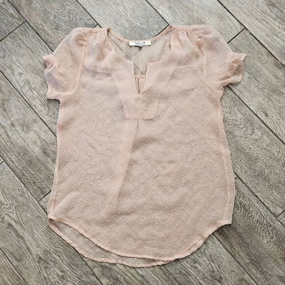Daniel Rainn Light Pink Sheer Clip Dot Short Sleeve Blouse Size S - Picture 1 of 7